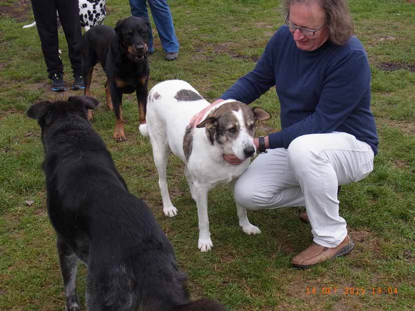 Luis, Azat und Barnie, Rolf.jpg (827 x 620)